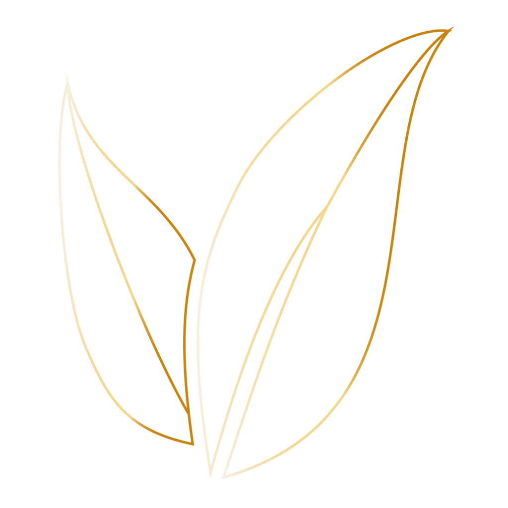 Ayurveda symbool