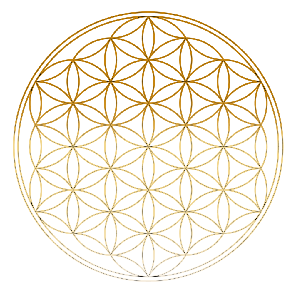 Flower of Life symbool